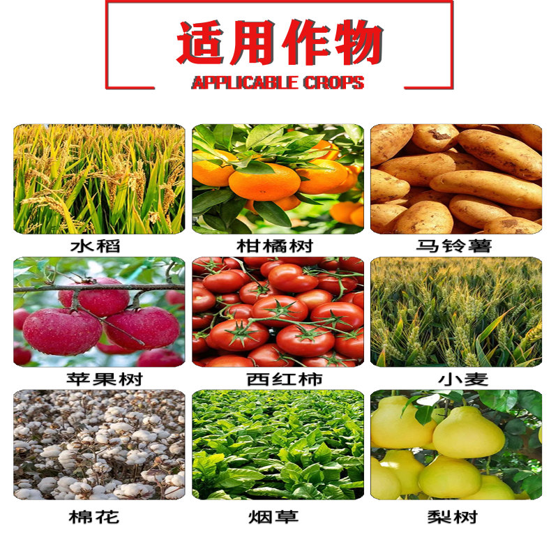48%噻虫胺高含量悬浮剂防治水稻稻飞虱杀虫剂地上地下害虫