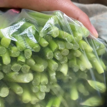 精品韭苔山东梁山万亩韭菜韭苔供应基地