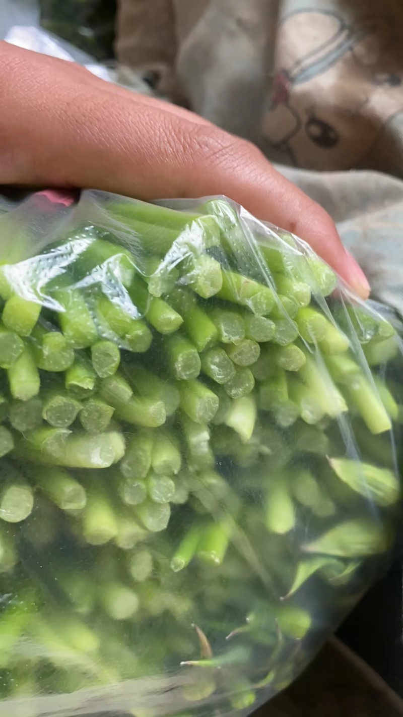 精品韭苔山东梁山万亩韭菜韭苔供应基地