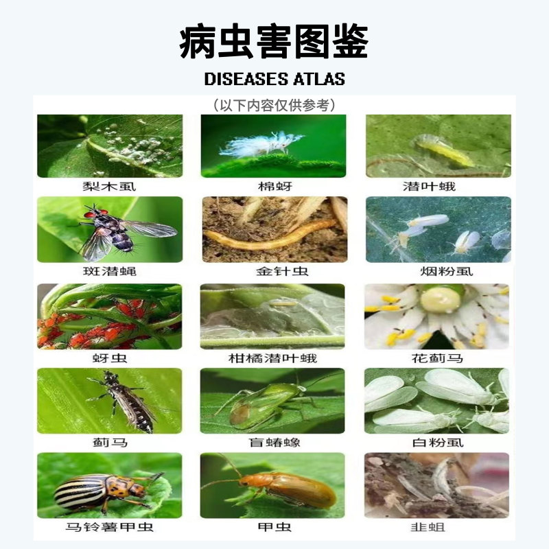 30%噻虫嗪悬浮剂水稻稻飞虱杀虫剂蚜虫飞虱蓟马潜叶蛾杀虫