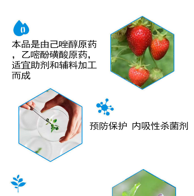 30%己唑乙嘧酚微乳剂葡萄白粉病杀菌剂白粉病专用药批发