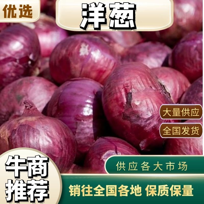 紫皮洋葱河南通许大量供应，诚信发往全国欢迎订购