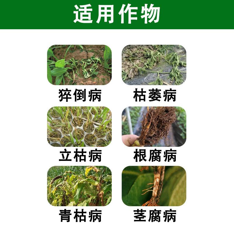 甲霜恶霉灵3%根腐猝倒死棵烂苗茎基腐软腐
