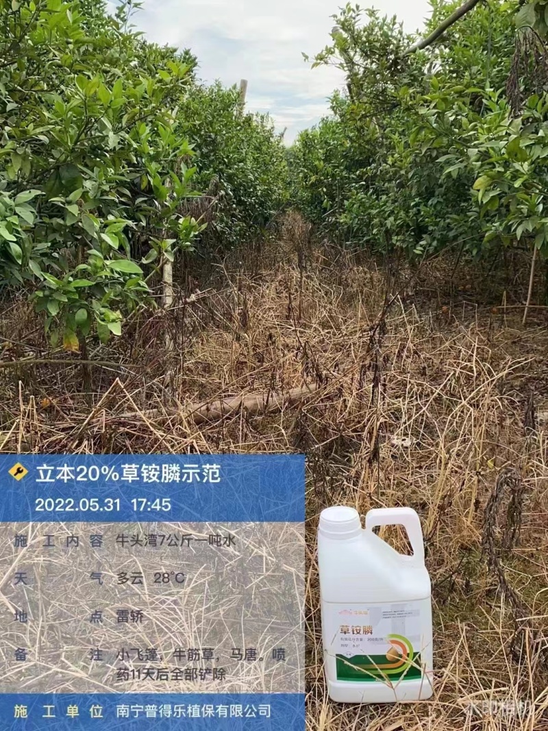 20%草铵膦牛头湾牛么王柑橘园灭生性除草剂