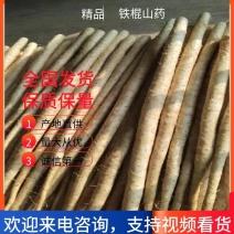 河北精品铁棍山药，紫瑶，白嘴，双棒，傍瑶，质量好，价格优