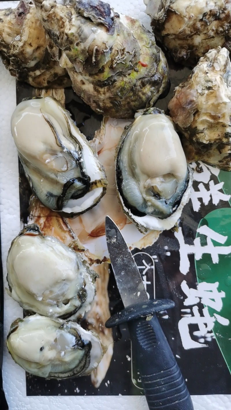 福建一口生蚝，网红小包装，承接电商社区团购