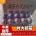 河北精品大鹅蛋产地直发质量保证全国发货欢迎联系