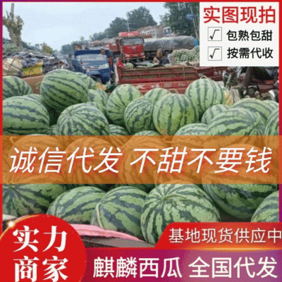 《实力商家》开封甜王西瓜西瓜规格全价格便宜包熟甜