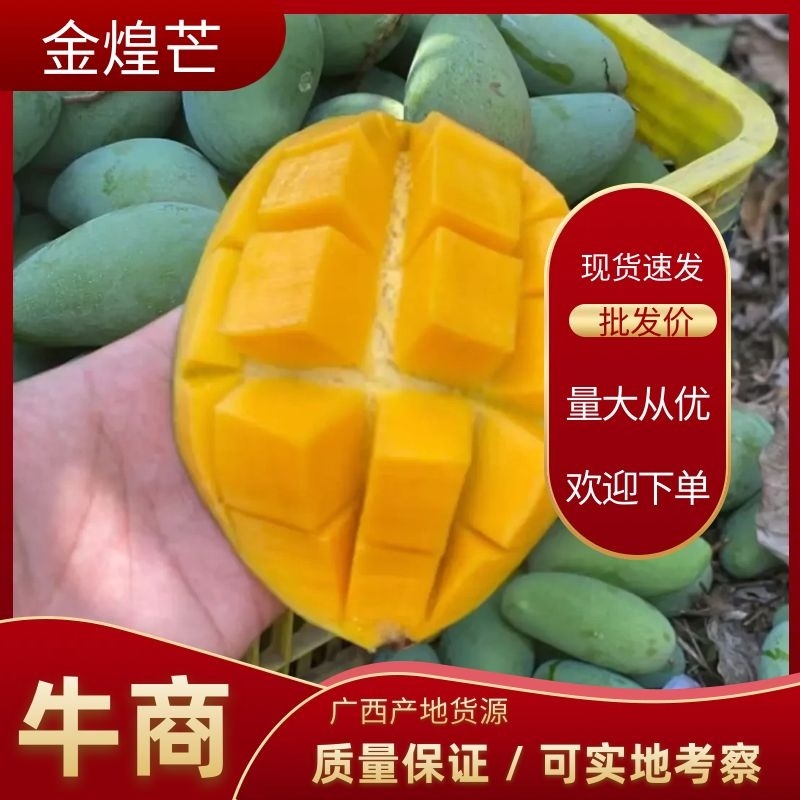 广西金煌芒，产地直发货源充足，价格优惠，欢迎电联采购