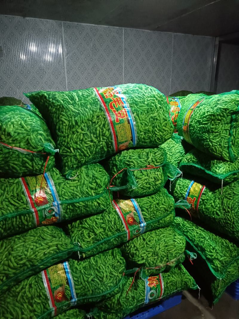 【商家推荐】翠绿宝毛豆颗颗饱满大量供货诚信经营欢迎咨询