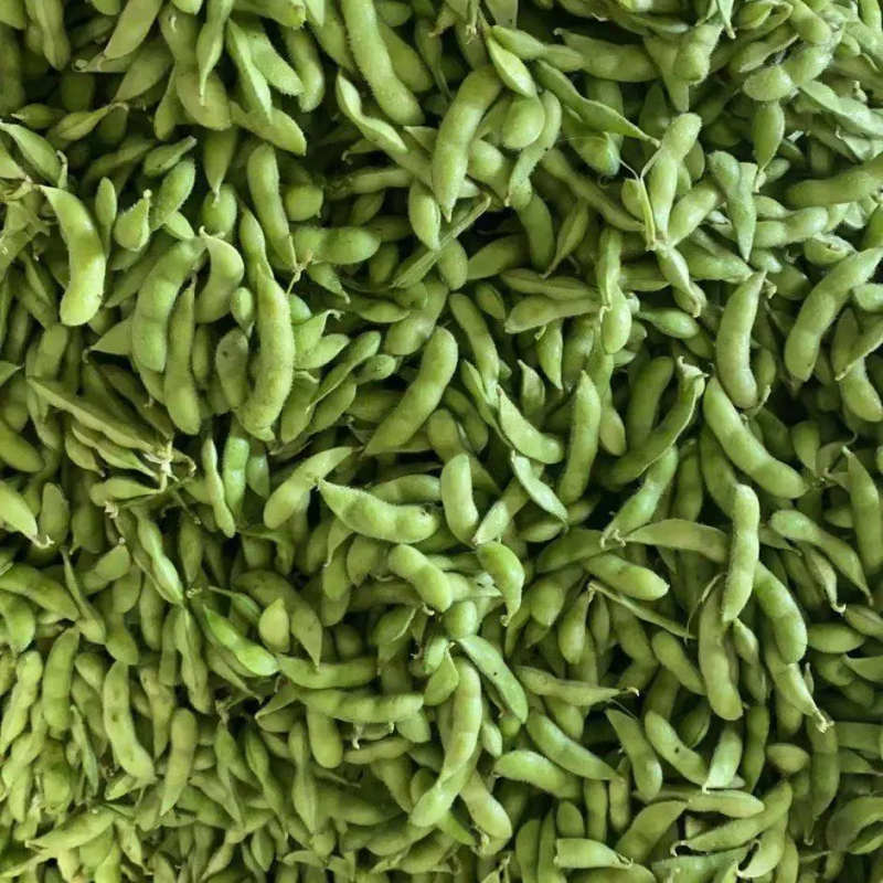 【商家推荐】翠绿宝毛豆颗颗饱满大量供货诚信经营欢迎咨询