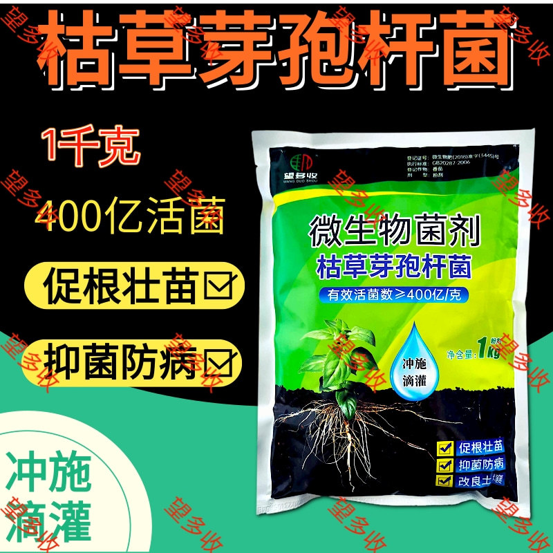 400亿枯草芽孢杆菌生根壮苗抗重茬板结高活菌肥