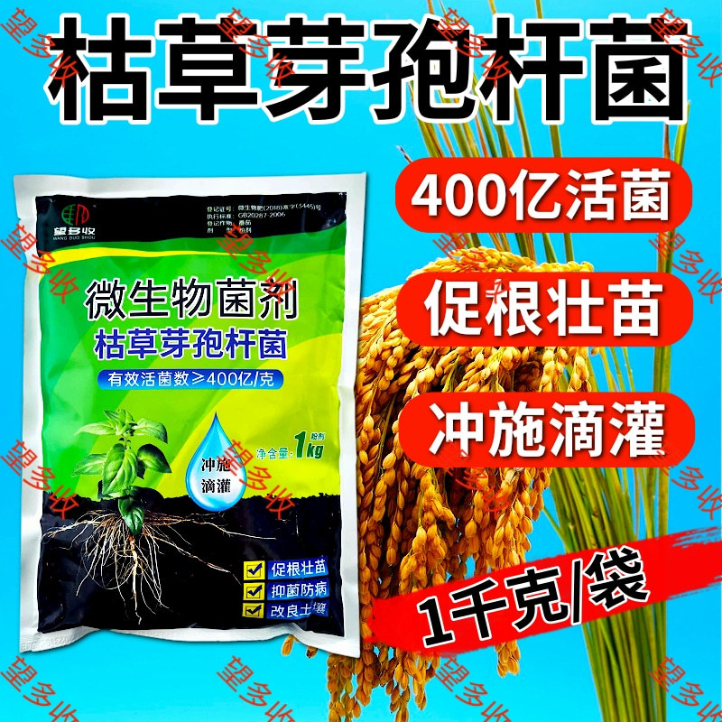 400亿枯草芽孢杆菌生根壮苗抗重茬板结高活菌肥