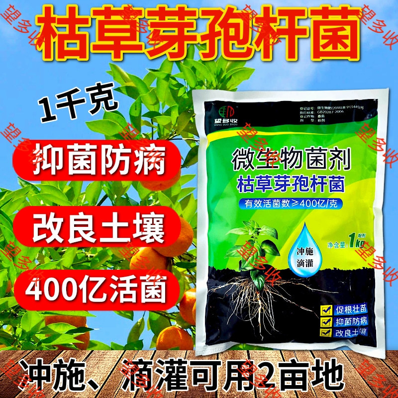 400亿枯草芽孢杆菌生根壮苗抗重茬板结高活菌肥