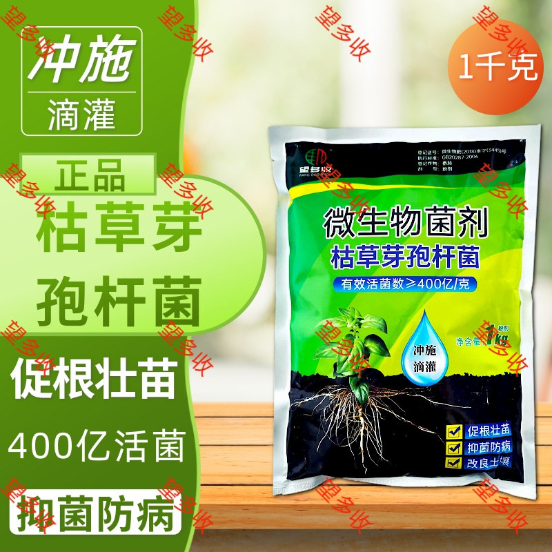 400亿枯草芽孢杆菌生根壮苗抗重茬板结高活菌肥