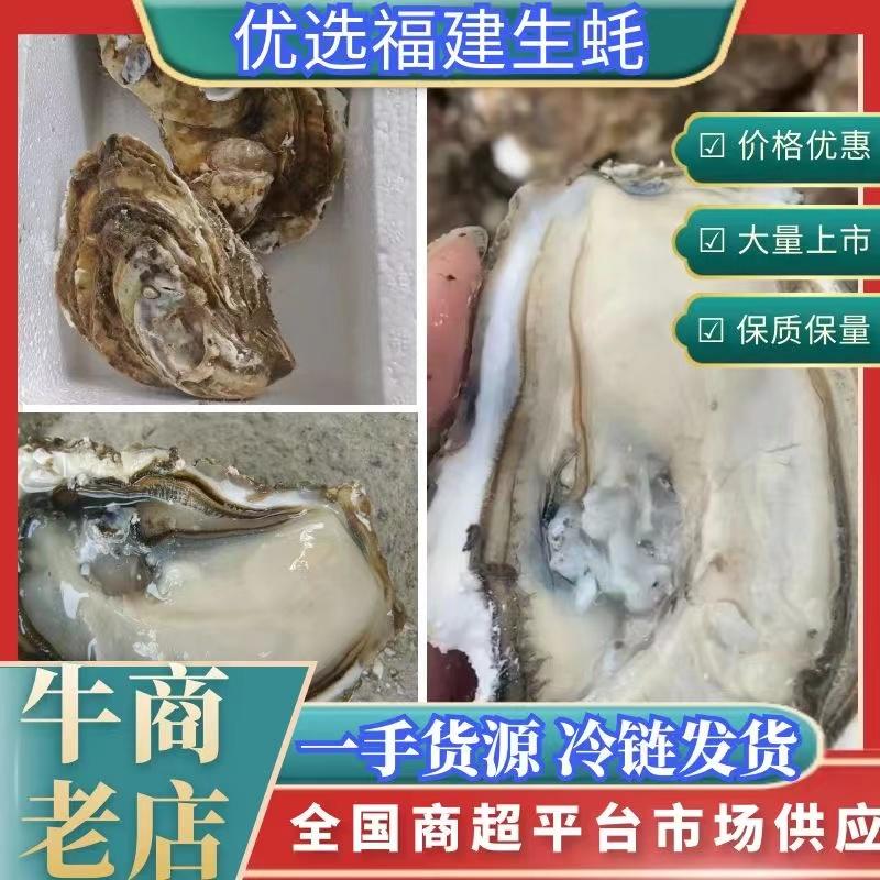 严选福建生蚝牡蛎海蛎子个大肉肥量大价优烧烤清蒸都可以