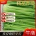 芹菜精品芹菜，货源充足量大从优保质保量欢迎采购