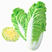 耐热金丝白快白菜种子高产抗病口感好蔬菜种子