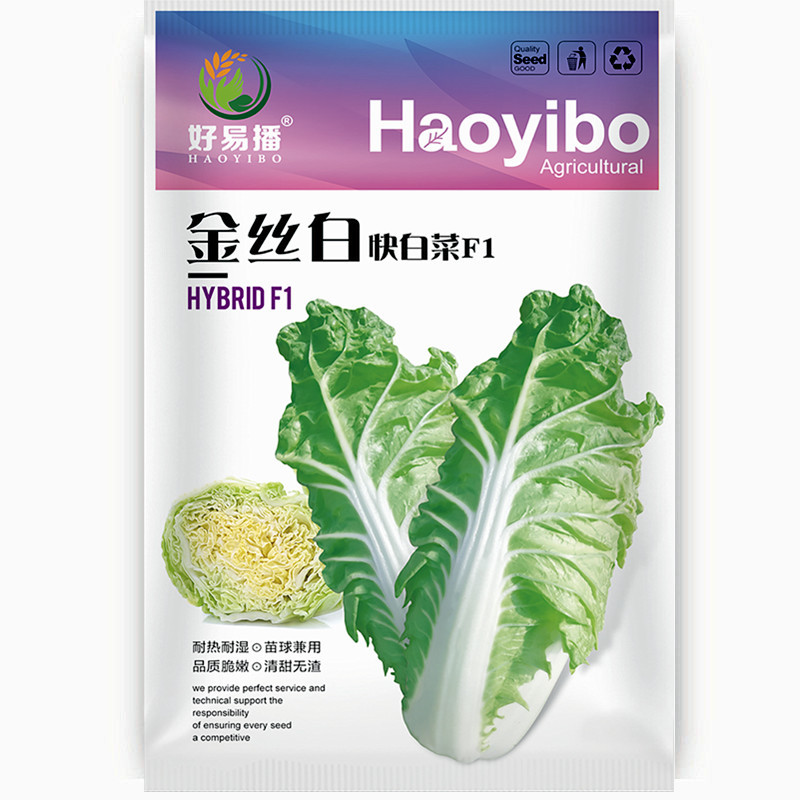 金丝白快白菜种子口感好蔬菜种子