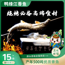 高端烧烤食材香鱼全年供应香鱼串串香食材香鱼烧烤