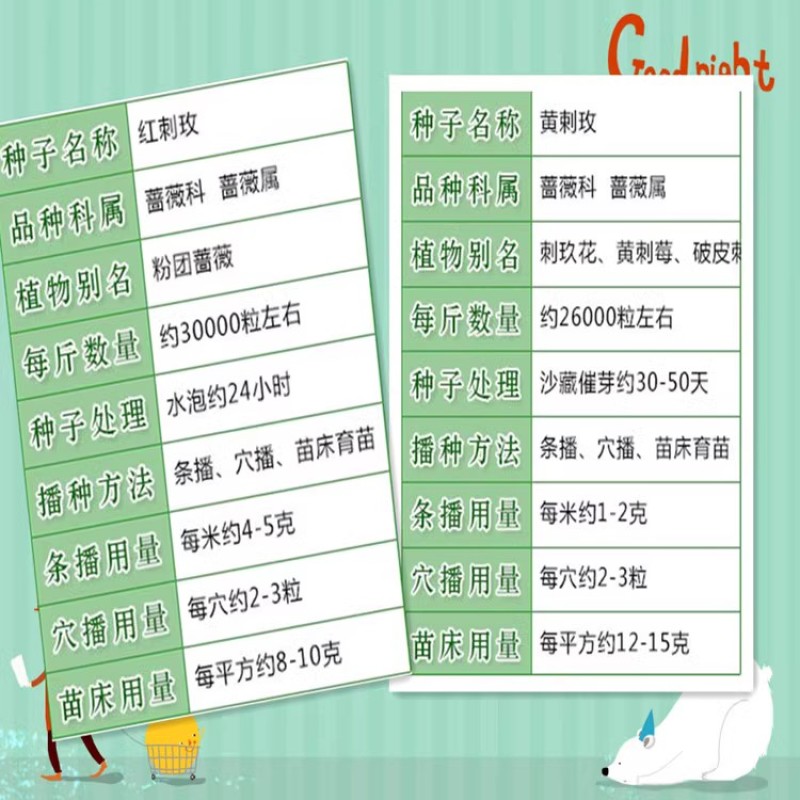 红刺玫种子黄刺玫爬墙梅种子蔷薇籽绿化景观庭院爬藤易播