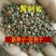 红刺玫种子黄刺玫爬墙梅种子蔷薇籽绿化景观庭院爬藤易播