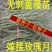 红刺玫种子黄刺玫爬墙梅种子蔷薇籽绿化景观庭院爬藤易播