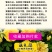 红刺玫种子黄刺玫爬墙梅种子蔷薇籽绿化景观庭院爬藤易播
