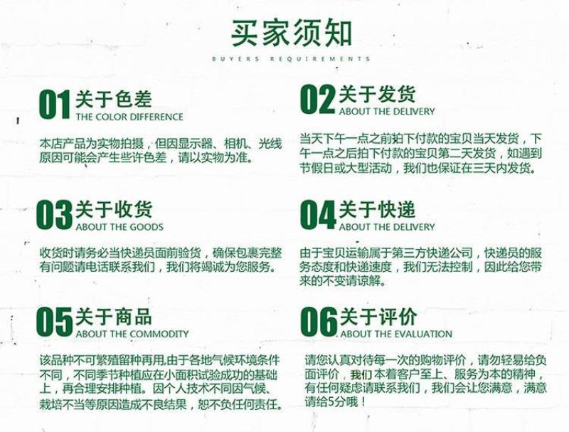绿白苦瓜种籽福玉耐热高产