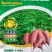 40%甘薯专用生物复混肥红薯复合肥生物菌肥抗重茬40kg