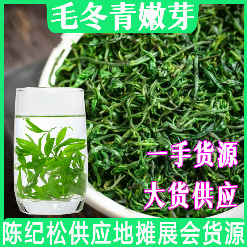 新茶苦丁茶毛冬青茶嫩芽四川宜宾毛冬青小叶苦丁茶散装批发