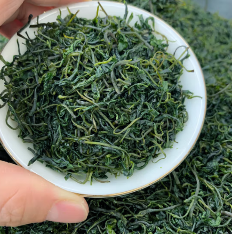 新茶苦丁茶毛冬青茶嫩芽四川宜宾毛冬青小叶苦丁茶散装批发