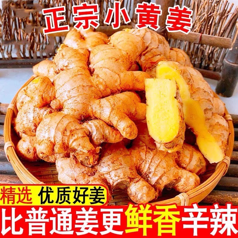云南小黄姜现货罗平小黄姜供应生姜老姜电商姜零售市场姜批发