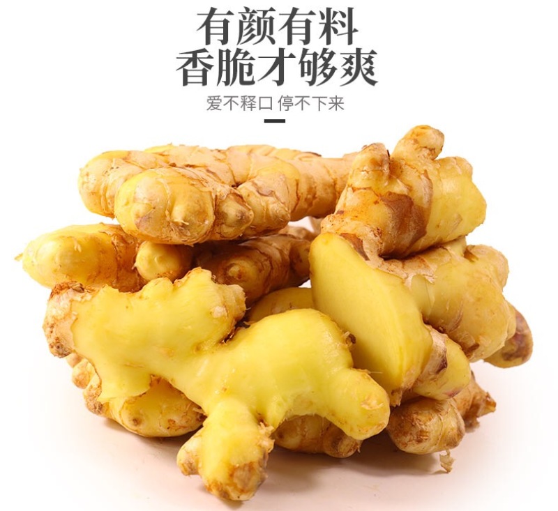 云南小黄姜现货罗平小黄姜供应生姜老姜电商姜零售市场姜批发