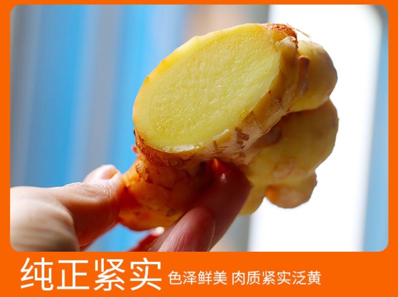 云南小黄姜现货罗平小黄姜供应生姜老姜电商姜零售市场姜批发