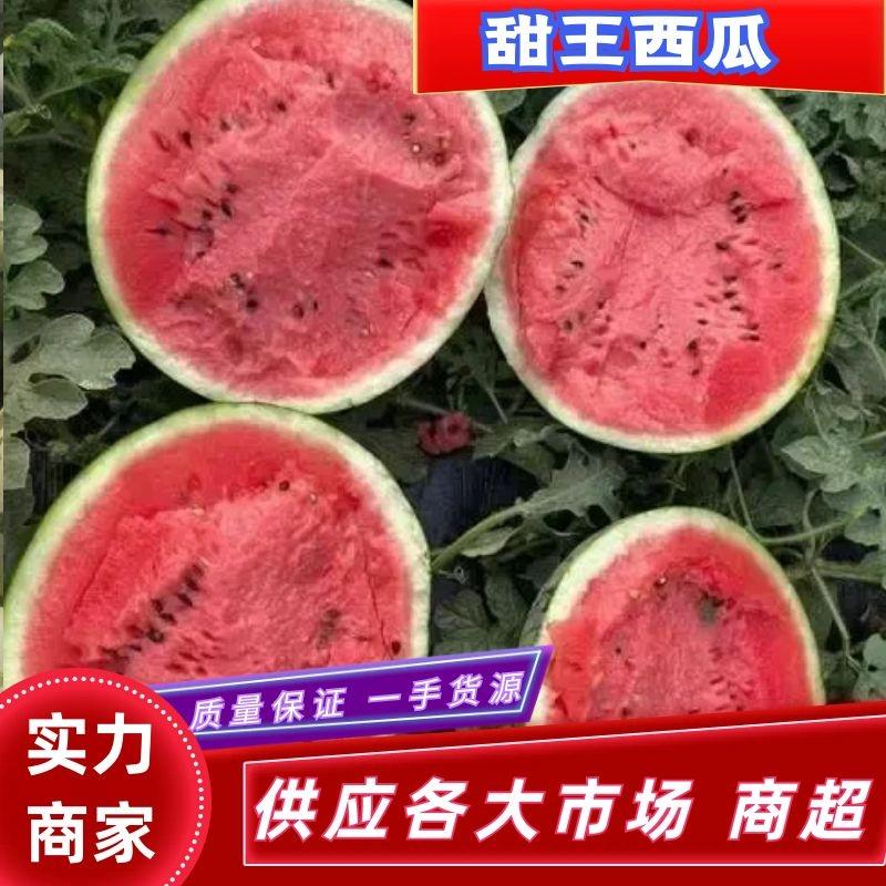 【实力商家】蒲城甜王瓜产地直发大吨位供应中可视频看货