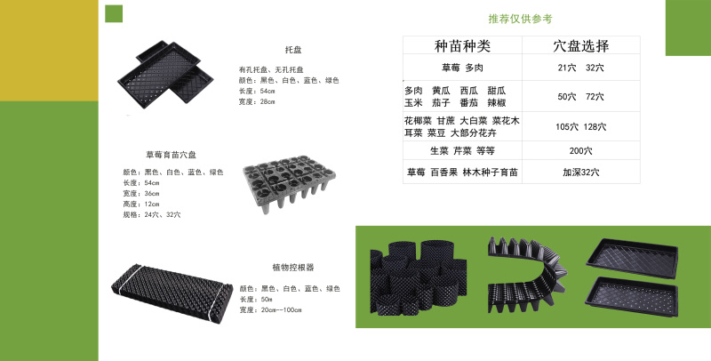 【实力推荐】山东普通穴盘规格齐全质量保证欢迎咨询