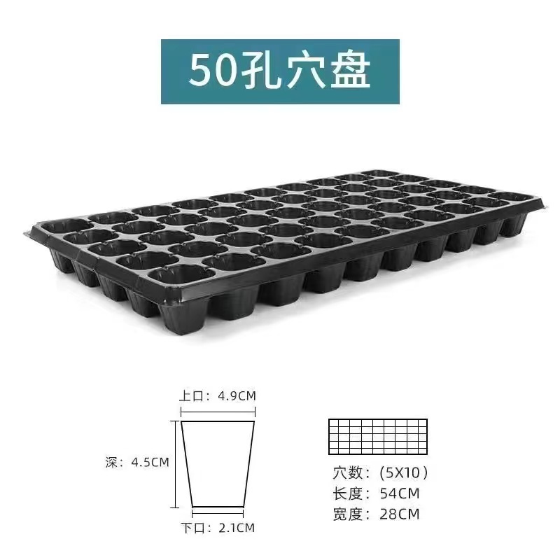 【实力推荐】山东普通穴盘规格齐全质量保证欢迎咨询