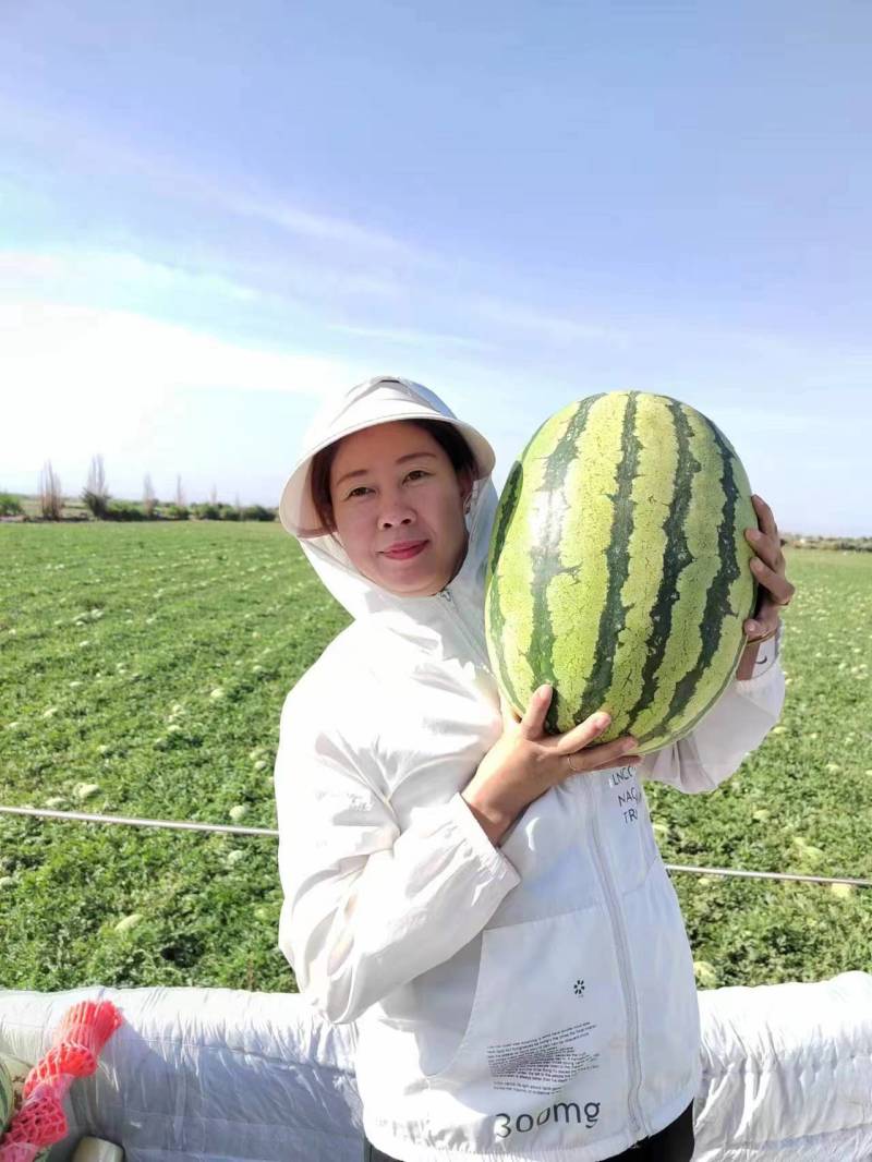 源头供应西瓜诚信经营