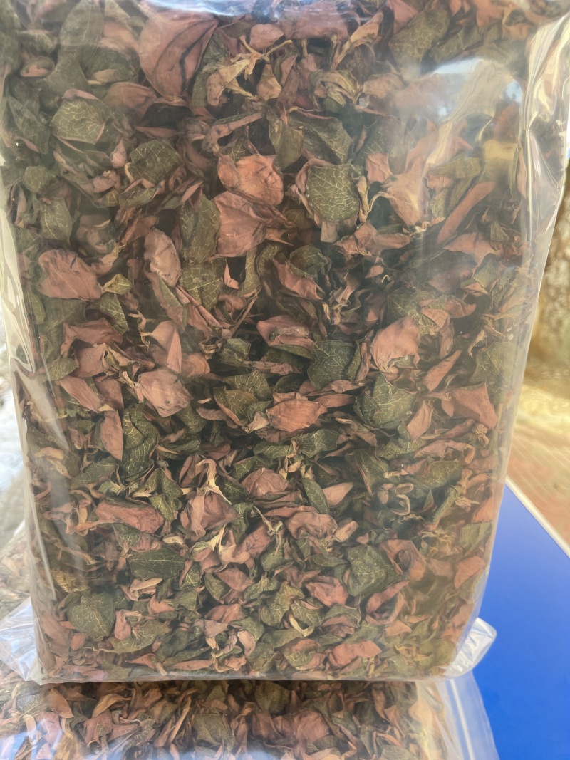 台湾红霞金线莲基地直供品质保障各种规格欢迎来电