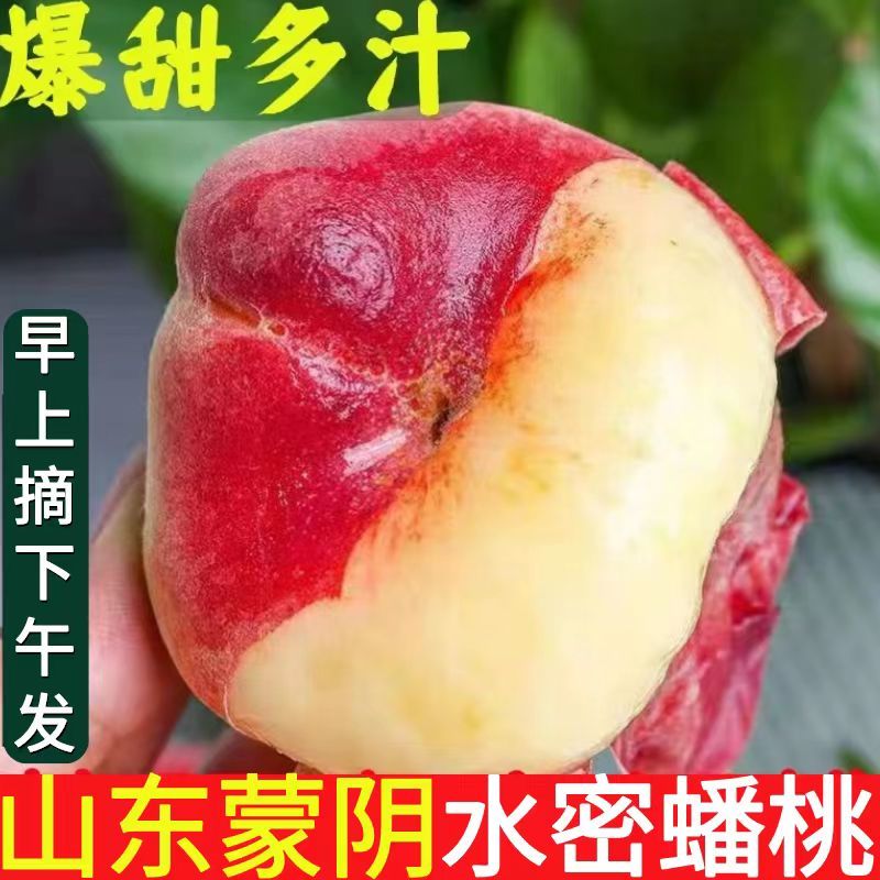 山东毛蟠桃大量上市中产地代发货口感脆甜汁二两起步可视频