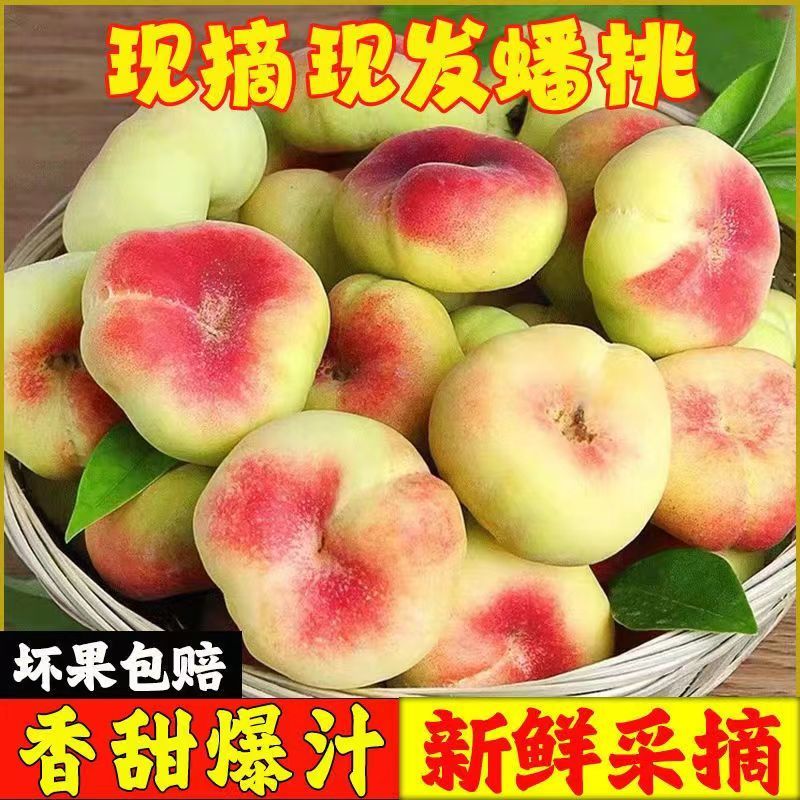 山东毛蟠桃大量上市中产地代发货口感脆甜汁二两起步可视频