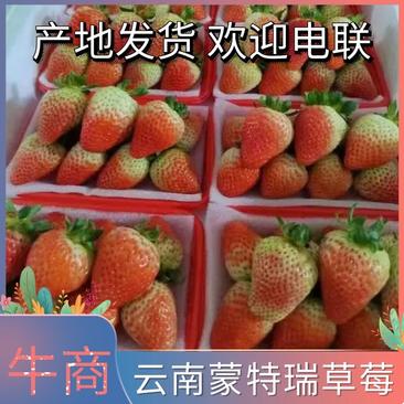 云南草莓，基地直供夏季草莓大量上市货量充足欢迎购