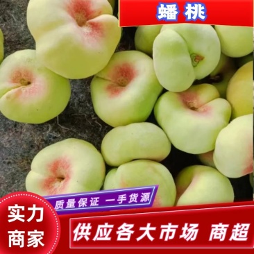 产地直供毛盘桃一手货源实话实说无中间商赚差价