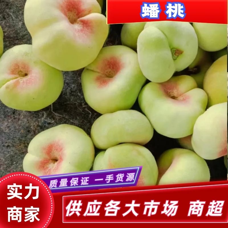 产地直供毛盘桃一手货源实话实说无中间商赚差价