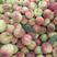 河北水蜜桃，青红毛桃，品质保证全国发货欢迎联系