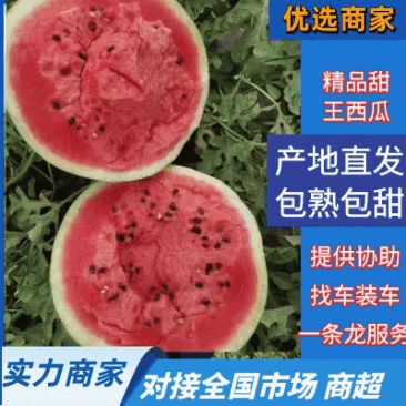 《推荐》优质甜王西瓜,优质西瓜大棚种植,品质好,皮毛新