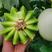 【基地直发】山东玉菇甜瓜，多多美团直供，社区团购一件代发