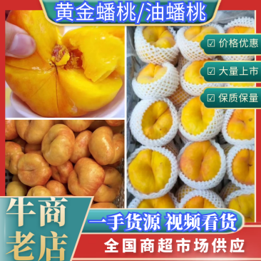 产地直发黄金毛蟠桃一手货源大量上市保质保量