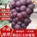 精品红无核葡萄基地直发一手货源品质保证诚信经营欢迎来电